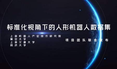 标准化视角下的人形机器人数据集